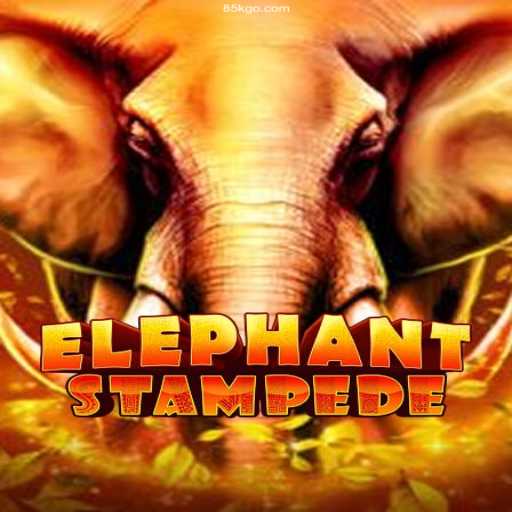 Exploring the Excitement of ElephantStampede: A Top Game on 85K.COM